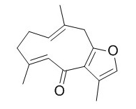 莪术呋喃二烯酮 CAS：24268-41-5