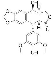 4'-去甲氧基表鬼臼毒素 CAS：6559-91-7
