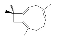 α-石竹烯 CAS：6753-98-6