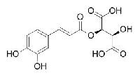 单咖啡酰酒石酸 CAS：67879-58-7