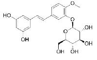 丹叶大黄素-3'-O-葡萄糖苷 CAS：94356-22-6