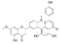 白果双黄酮 CAS：481-46-9