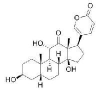 沙蟾毒精 CAS：464-74-4