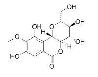 岩白菜素 CAS：477-90-7