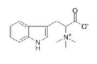 刺桐碱 CAS：487-58-1
