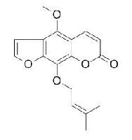 珊瑚菜素 CAS：2543-94-4