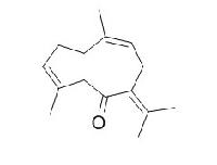 吉马酮 CAS：6902-91-6