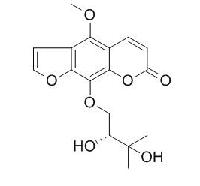 白当归素 CAS：19573-01-4