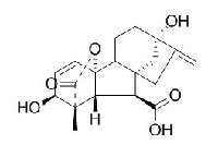 赤霉酸 CAS：77-06-5