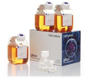 ExpiFectamine™ CHO Transfection Kit, for 10 L of culture