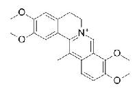 脱氢紫堇碱 CAS：30045-16-0