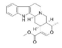 四氢鸭脚木碱 CAS：6474-90-4