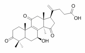 20(21)-脱氢赤芝酸A供应 CAS：852936-69-7