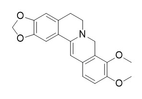 二氢小檗碱 CAS：483-15-8现货