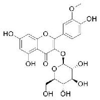 异鼠李素-3-O-葡萄糖苷 CAS：5041-82-7现货