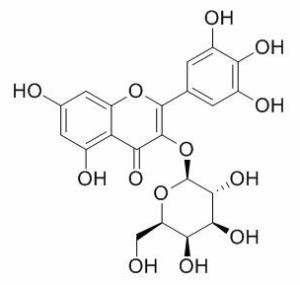 杨梅素-3-O-半乳糖苷 CAS：15648-86-9现货