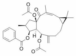 千金子二萜醇二乙酰苯甲酰酯 CAS：218916-52-0现货