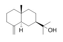  β-桉叶醇 CAS：473-15-4现货