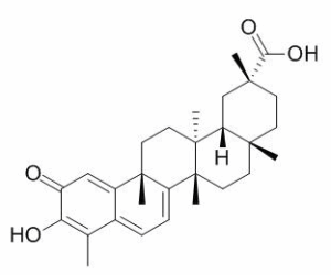 雷公藤红素 CAS：34157-83-0现货