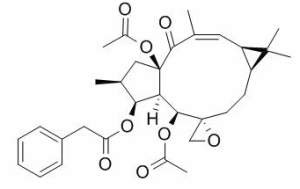 千金子甾醇 CAS：28649-59-4现货