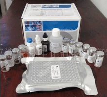 胰蛋白Elisa试剂盒说明书