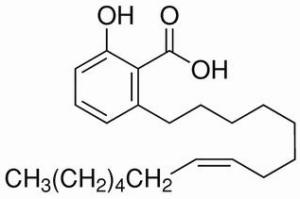 银杏酚酸（15:1） CAS：22910-60-7报价