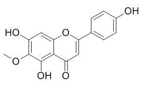 高车前素 CAS：1447-88-7报价