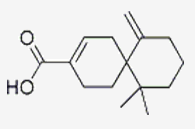 β-花柏烯酸 CAS：1174388-31-8报价