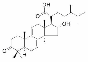 猪苓酸C现货 CAS：465-18-9