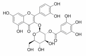 2”-O-没食子酰基金丝桃苷 CAS：53209-27-1报价