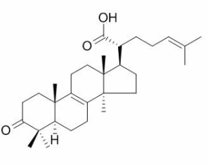 β-榄香酮酸 CAS：28282-25-9报价