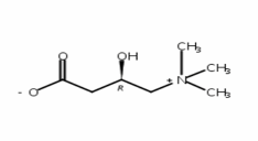 左旋肉堿、L-肉堿、卡尼丁541-15-1
