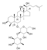 (R型)人参皂苷Rg280952-72-3