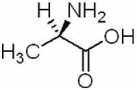 D-丙氨酸 CAS：338-69-2